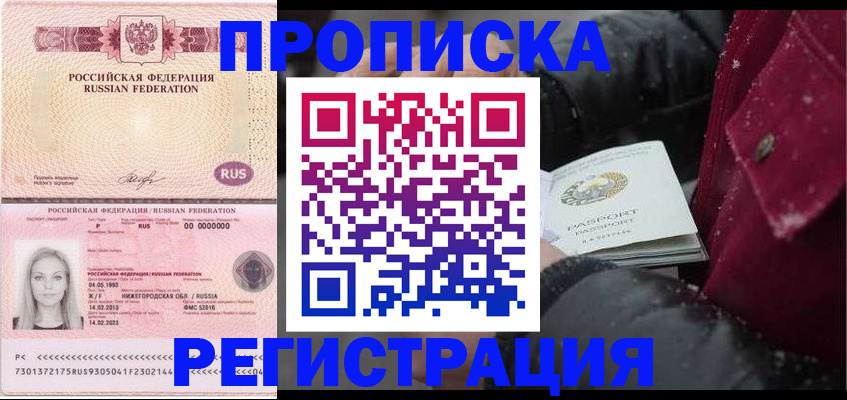 прописка для школы в Щёлково